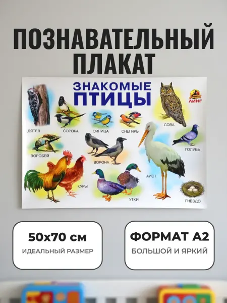 ЛИНГ Развивающий плакат А2 для детского сада и школы. Птицы