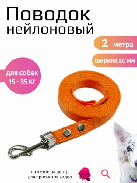 Хвостатыч Поводок для собак нейлон 2 м х 20 мм (оранжевый)