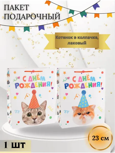 Дон Баллон Подарочный пакет Котенок в колпачке Лаковый 23*18*10 см