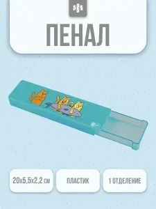 Пенал школьный 20х5.5х2.2 см из АБС-пластика и полистирола. Футляр для ручек, карандашей, канцелярии