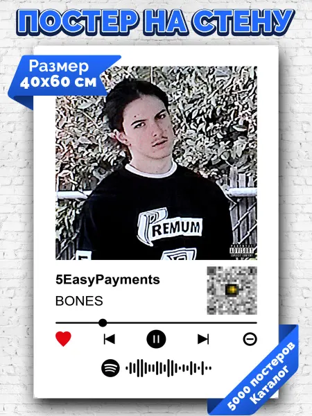 Arthata-spotify постер Спотифай постер Плакат на стену BONES - 5EasyPayments 40х60