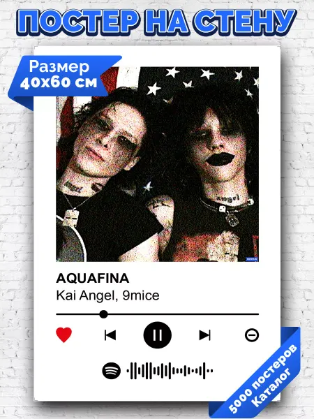 Arthata-spotify постер Спотифай постер Спотифай постер Kai Angel 9mice - AQUAFINA 40х60