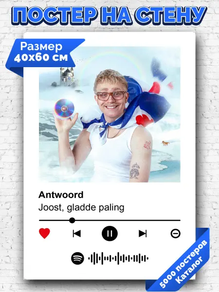 Arthata-spotify постер Спотифай постер Спотифай постер gladde paling Joost - Antwoord 40х60