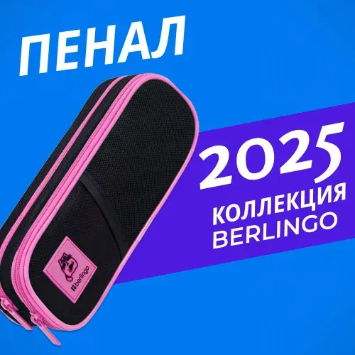 Пенал школьный для девочек мягкий 2 отделения, 220*80*50 Berlingo "Chilled cat", полиэстер, внутренний органайзер (PM09063)