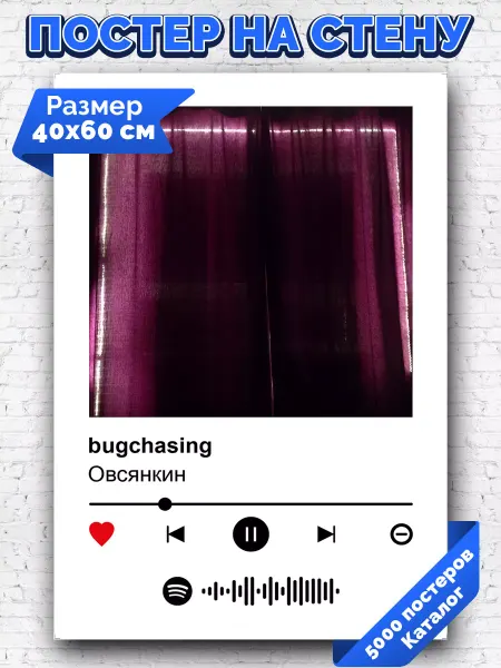 Arthata-spotify постер Спотифай постер Спотифай постер Овсянкин - bugchasing 40х60