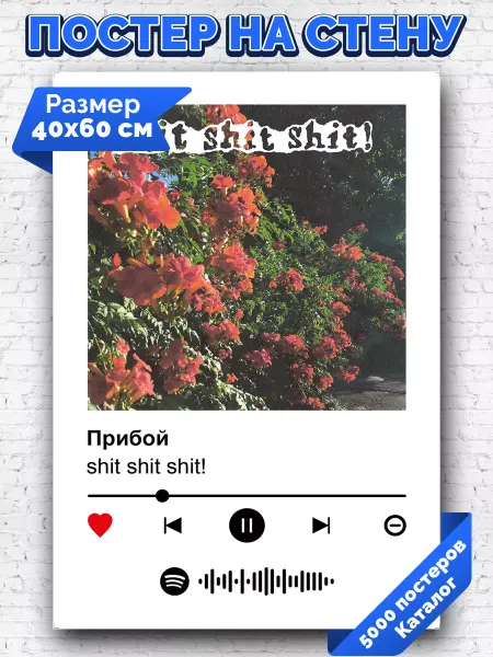 Arthata-spotify постер Спотифай постер Спотифай плакат shit shit shit - Прибой 40х60