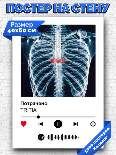 Arthata-spotify постер Спотифай постер Плакат на стену TRITIA - Потрачено 40х60