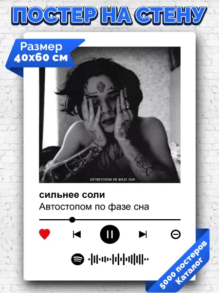 Arthata-spotify постер Спотифай постер Спотифай постер автостопом - сильнее соли 40х60