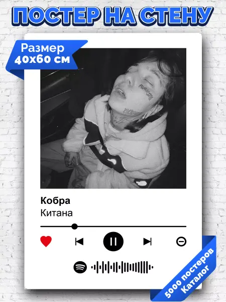 Arthata-spotify постер Спотифай постер Спотифай постер Китана - Кобра 40х60