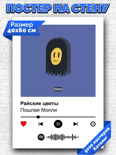 Arthata-spotify постер Спотифай постер Плакат на стену Пошлая Молли - Прокля Табыла 40х60