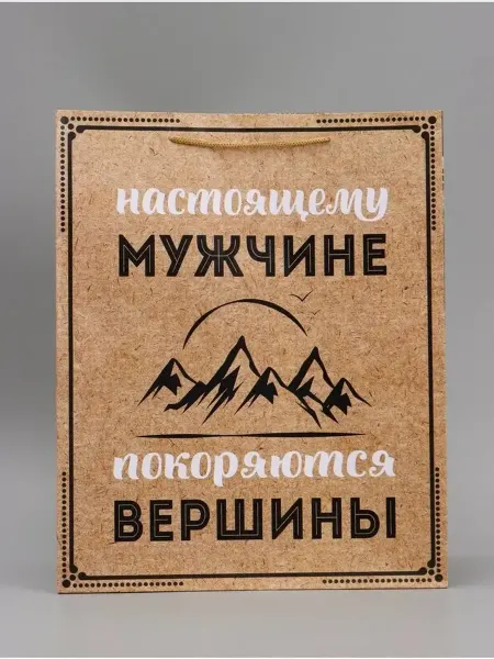 Стильный мужской подарочный пакет 40х49х15 см