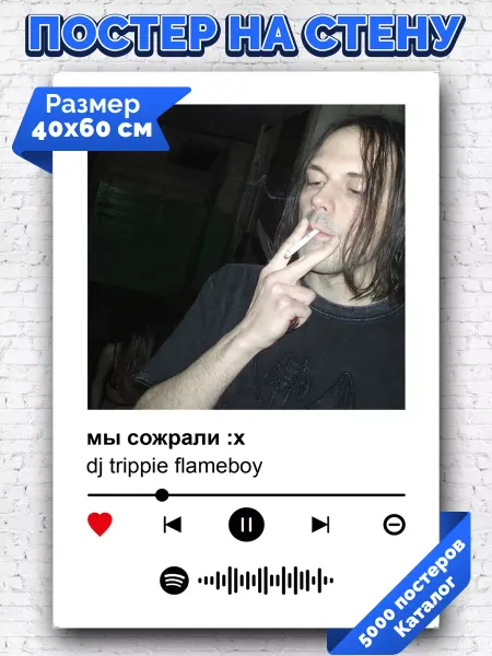 Arthata-spotify постер Спотифай постер Спотифай постер dj trippie flameboy - мы сожрали х 40х60