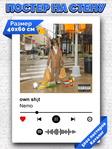 Arthata-spotify постер Спотифай постер Спотифай плакат Nemo - own sh¡t 40х60