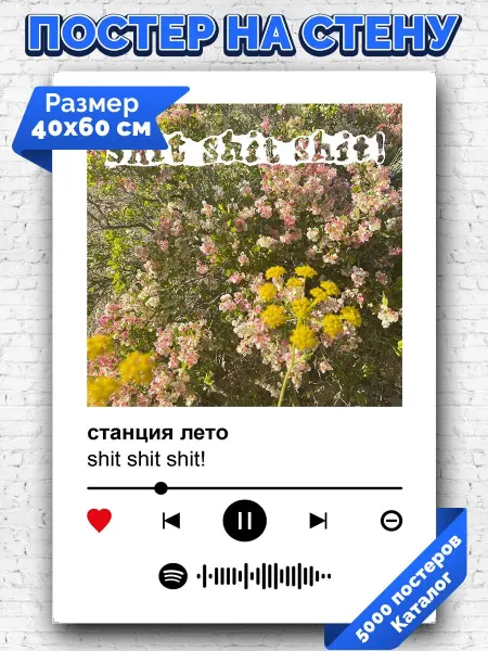 Arthata-spotify постер Спотифай постер Спотифай постер ssshhhiiittt - станция лето 40х60
