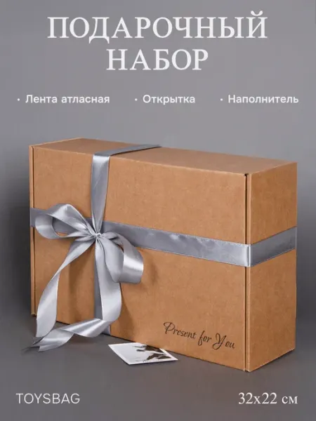 TOYSBAG Большая подарочная коробка с лентой и наполнителем