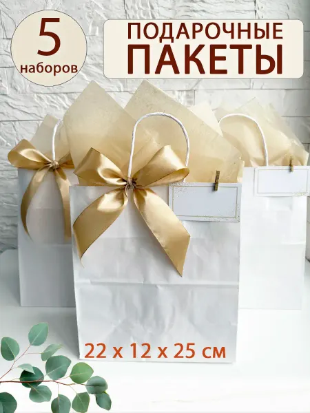 Гифтс Пакеты подарочные бумажные мужские
