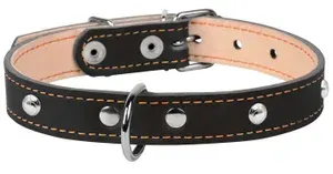Collar Ошейник для собак натуральная кожа двойной черный украшение , ширина 2,5 см , обхват шеи 38-50 см