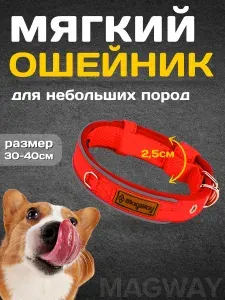 Ошейник для собак MagWay/ ширина 2,5 см/ обхват 30-40 см/ синий