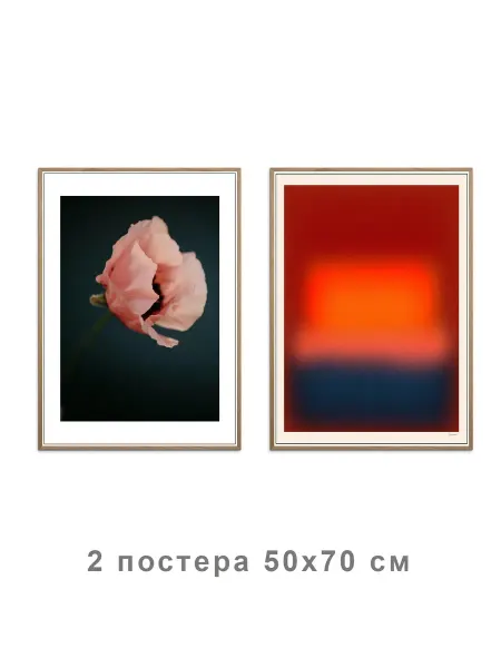 Onllyart Постер Маки 2 50x70
