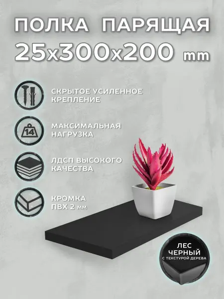 Мебель Веста Полка настенная парящая черная, 2.5х30х20 см