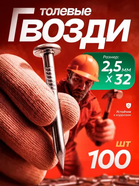 Крейсер Аврора Гвозди строительные толевые оцинкованные 2,5x32 мм (100 шт)