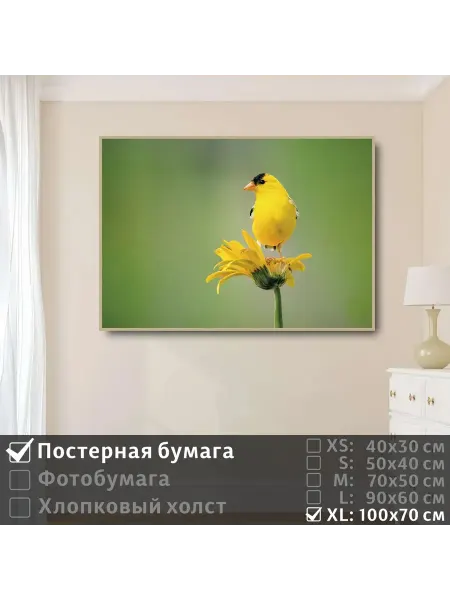 ПолиЦентр Постер на стену "Птичка желтая сидит на цветке" 100х70 см