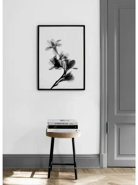 Onllyart Постер 21x30 отсканированный цветок