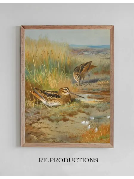 Re.productions Постер A Pair of Snipe (Gallinago - Archibald Thorburn