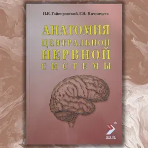 Анатомия центральной нервной системы