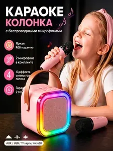 Портативная караоке колонка Bluetooth с 2 беспроводными микрофонами, светодиодная подсветка, эффекты изменения голоса, перезаряжаемая