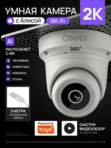 Камера видеонаблюдения WIFI уличная 2К купольная, умная с Яндекс Алисой (CI-OIDWF242)