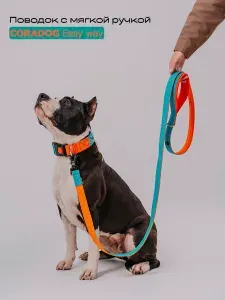 Поводок CORADOG Easy way c мягкой ручкой и карабином самозахватом Frog , длина 2 м, для средних пород собак цвет бирюзовый, оранжевый