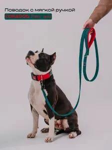 Поводок CORADOG Easy way c мягкой ручкой и карабином самозахватом Frog , длина 2 м, для средних пород собак цвет темно-зеленый, красный