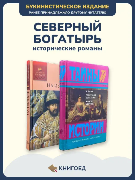 Книгоед Зарин исторический роман Русь XVII век 2 книги Андрей