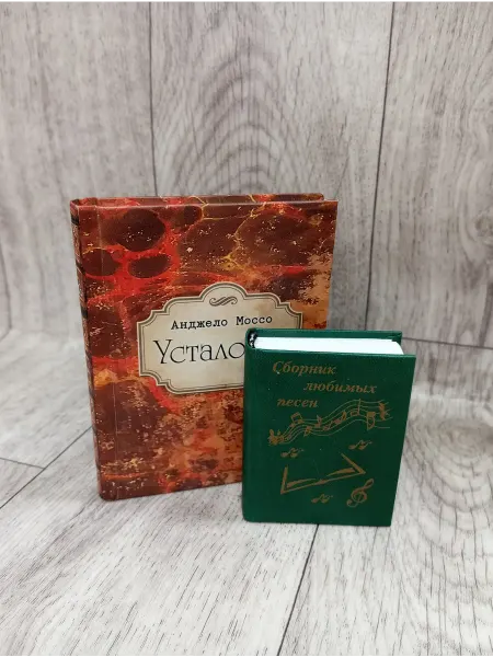 Томсувенир Комплект из 2-х миниатюрных книг