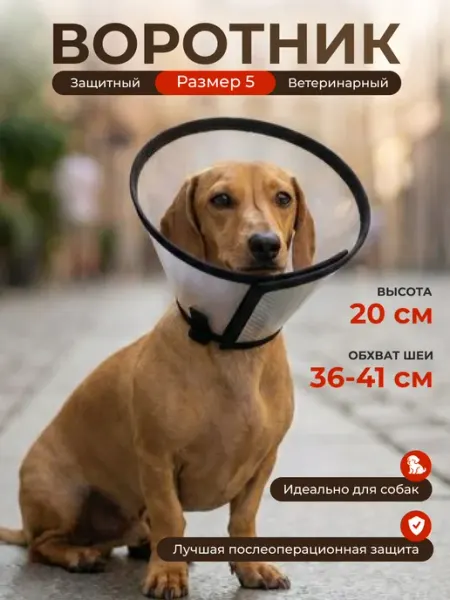 Защитный воротник ветеринарный для собак, высота 20