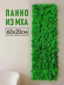 Панно из стабилизированного мха Ягель, настенное Панно размер 60*20 см, для озеленения интерьера.