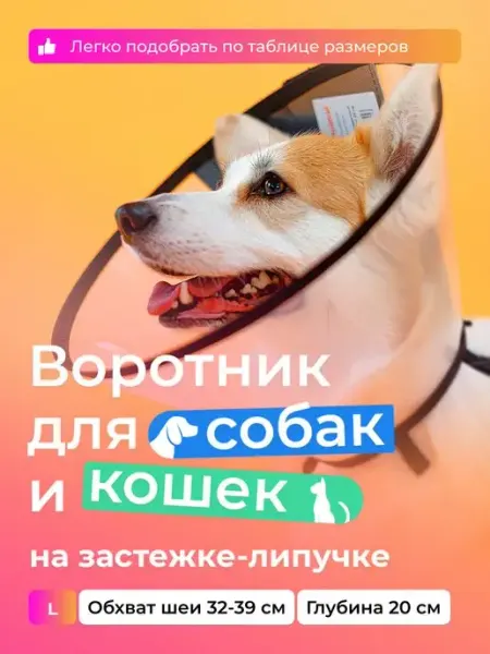 AniMall Воротник защитный для собак и кошек № 20 см, на липучке