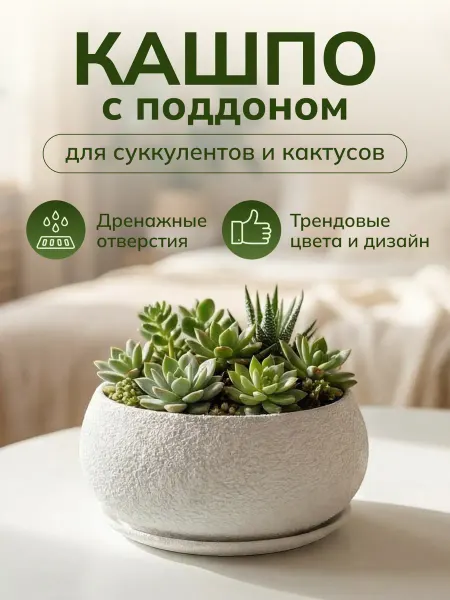 Кашпо для суккулентов