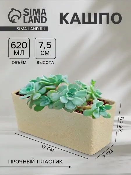 Стильное пластиковое кашпо для цветов