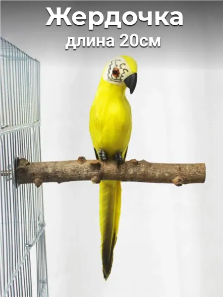 Zoo-Max Жердочка палка для попугаев птиц Колючий ясень 20 см