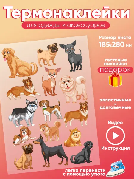 Care shop Термонаклейка на одежду Собачки