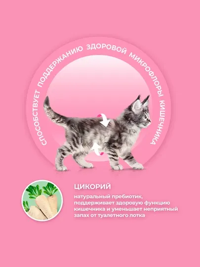 Сухой корм для котят PURINA ONE, с курицей, 200 г
