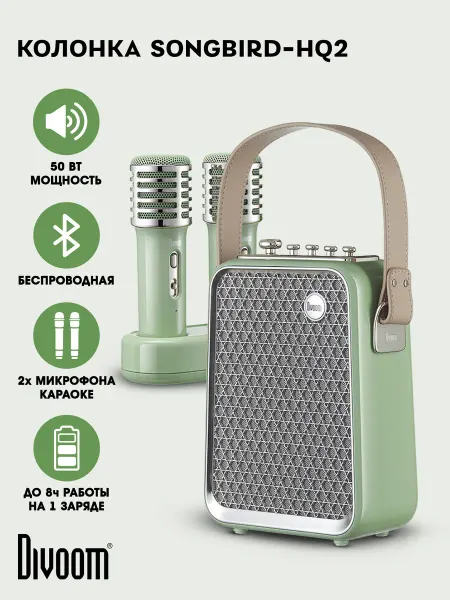Divoom Беспроводная Bluetooth караоке колонка с микрофонами