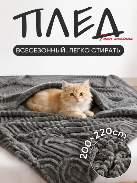 YOUZHEN Плед 200×220 мягкий всесезонный тёплый для кровати и дивана