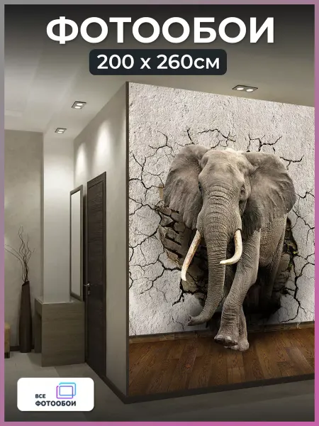 VseFotooboi Фотообои 3d флизелиновые Слон в спальню моющиеся 200х260 см