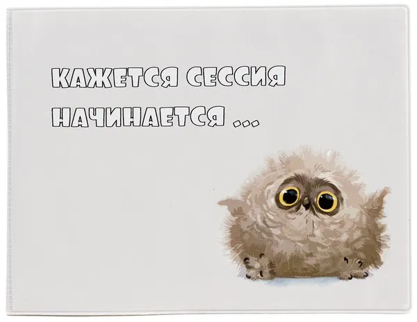 Kawaii FactoryОбложка для зачетной книжки
