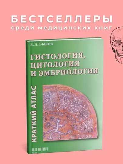 Гистология Автор: Юшканцева 2006. Медицина