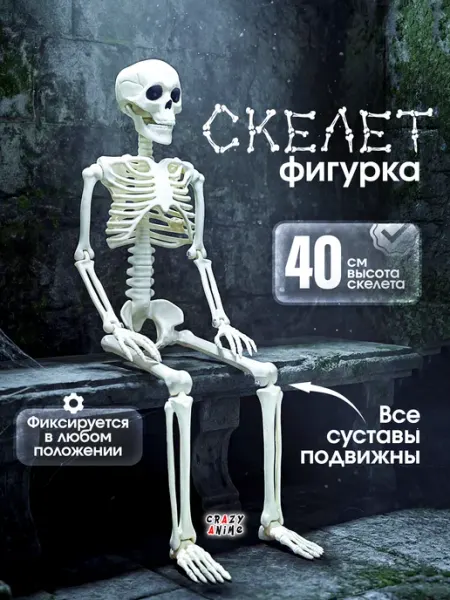 CrazyAnime Фигурка игрушка скелет подвесной и подвижный