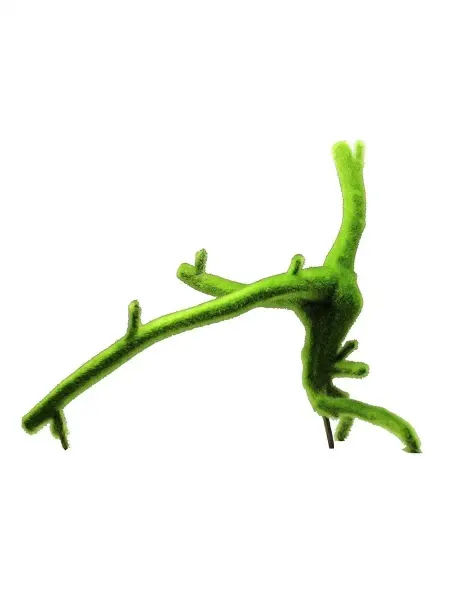 FAUNA INTERNATIONAL Декорация КОРЯГА ЗЕЛЕНАЯ 20х14х17см пластик